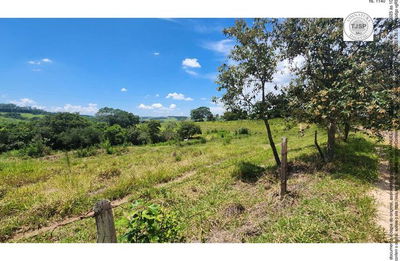 Fração Ideal de 11,4 ha em Anhembi - Oportunidade Única!