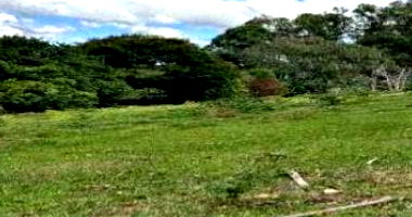 Área Rural de 25 ha em Silvianópolis-MG - Oportunidade Única!