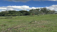 Área Rural de 25 ha em Silvianópolis-MG - Oportunidade Única!