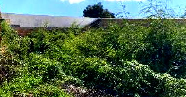 Casa com 2 quartos e 180m²