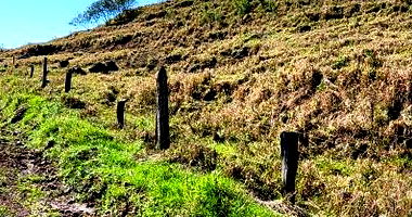 Lote Rural com 30.000m² em Realeza/PR