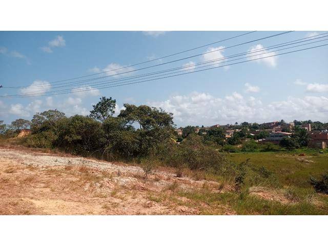 Lote com 5.325 m² de área total