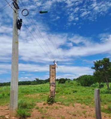 Fazenda de 125 Ha em Nossa Senhora do Livramento/MT