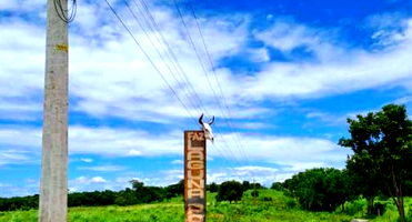 Fazenda de 125 Ha em Nossa Senhora do Livramento/MT