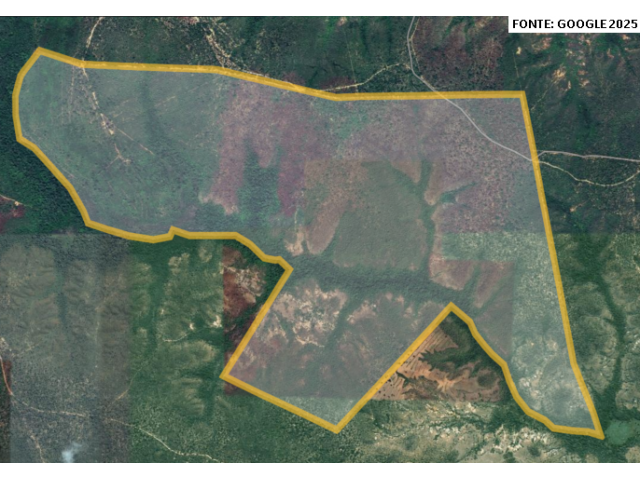Fazenda com 713.81 hectares em São Raimundo das Mangabeiras/MA