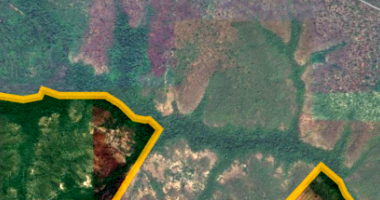 Fazenda com 713.81 hectares em São Raimundo das Mangabeiras/MA