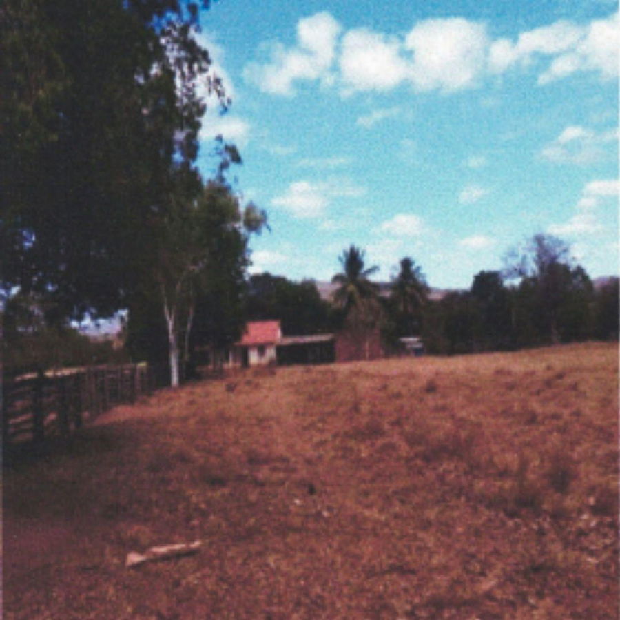 Fazenda com 25 ha e casa de 120 m² em Manga/MG