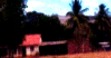 Fazenda com 25 ha e casa de 120 m² em Manga/MG