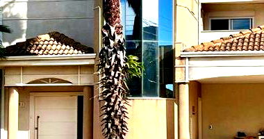 Sobrado de Alto Padrão com 450m² em Campo Grande-MS