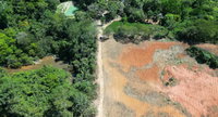 Chácara LE 71 - 15.916m² - Apiacás/MT