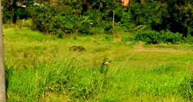 Terreno de esquina com área de 1.727,55m²