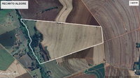 Fazenda Recanto Alegre com 71,50 ha, ocupada