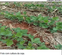 Terreno rural de 50.000m² sem benfeitorias