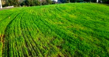 Imóvel Rural com Área Total de 33.434 m² em São Jorge do Oeste-PR