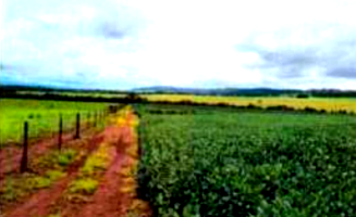 Sítio com 96,8 ha e casa em Goiatuba/GO