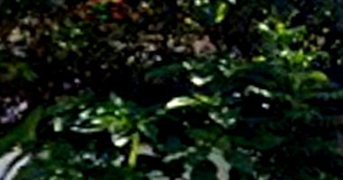 Casa em Condomínio com 120m² úteis em São Paulo