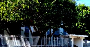 Apartamento em Campo Grande com 1 quarto