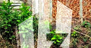 Terreno em Lagoa do Carro/PE com 2512,5m²