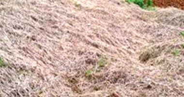 Lote Urbano em Saudades/SC com 360m²