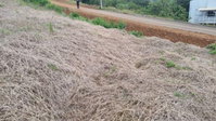 Lote Urbano em Saudades/SC com 360m²