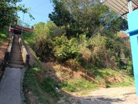 Terreno urbano de 243,57 m² em Miradouro