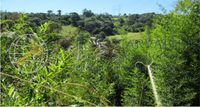 Terreno com 5.789m² em Itaquaquecetuba - SP
