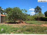 Terreno 217m² - Lote 11-A Quadra 06 - São Simão/GO
