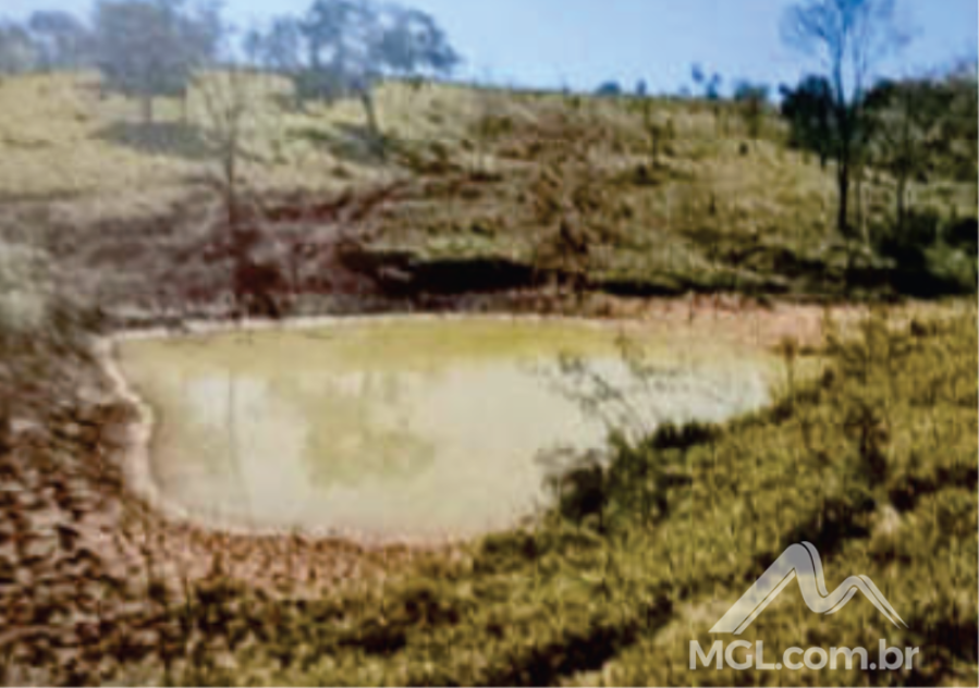 Fazenda Perobas - Imóvel Rural com 67,17 ha em Doresópolis/MG