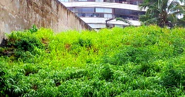 Terreno Urbano em Salvador - Oportunidade Única!