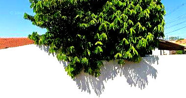 Casa com 3 quartos, 2 banheiros e 213m² construída, desocupada