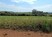 Lote rural 30.250m² Gleba 14 Colônia Muquilão