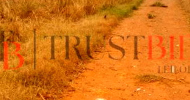 Terreno Urbano em Mendonça/SP