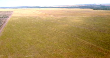 Fração de 21,05% de área rural em Jaciara - Oportunidade!