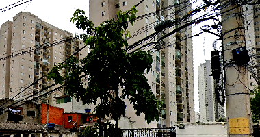 Apartamento com 54,27 m², 1 vaga, ocupado