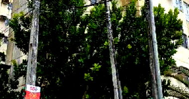 Apartamento em São Lourenço da Mata/PE com 2 quartos