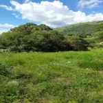 Lote Urbano com 234,80m² em Caldas - MG