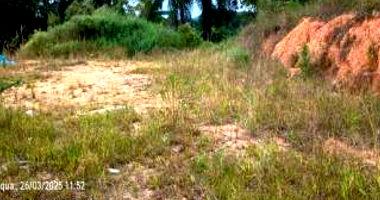 Terreno Urbano com 798,30 m² em Apiúna-SC