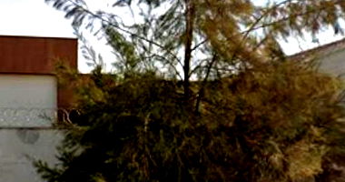 Casa com 495m² em Sorriso/MT - Ocupado