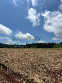 Área Rural de 5,75 ha, Ocupada, Ideal para Investimento
