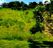 Terreno Urbano em Santana de Parnaíba com 500,04 m²