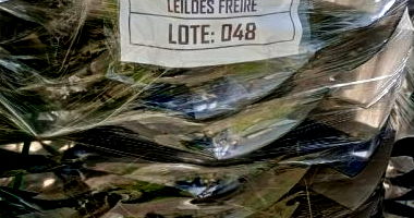 Ventoinhas do Sistema de Arrefecimento CH 11691 - Lote 048