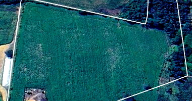 Fazenda Cachoeira do Cervo com 4,97 ha em Ibiá - MG