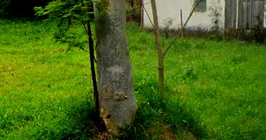 Casa com 800m² de terreno e 171m² construída em Pérola/PR