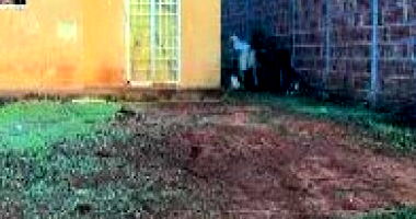 Casa com 2 Quartos em Poconé/MT