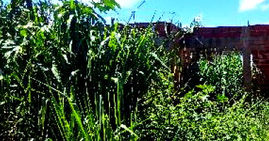 Terreno amplo de 194,94m² em área rural, desocupado