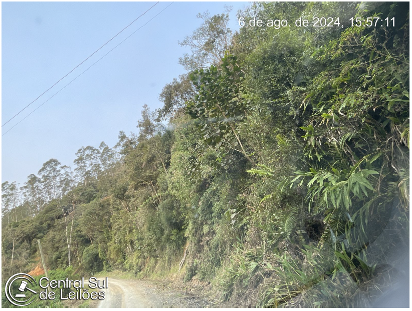 Terreno de 3 hectares sem benfeitorias, área total 140.725m²