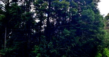 Terreno com 560m² em Carazinho/RS