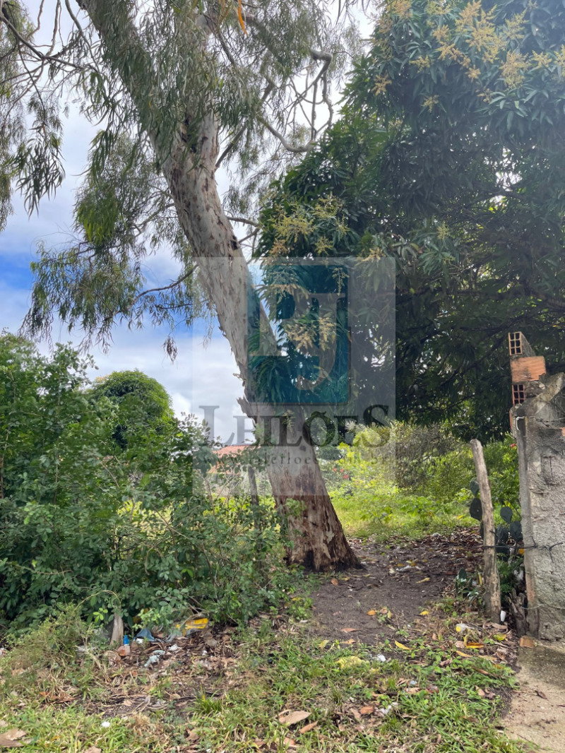 Terreno de 400 m² em loteamento RGA, Areia Branca