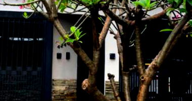 Casa com 500m² em Campo Grande/MS - Vila São Sebastião