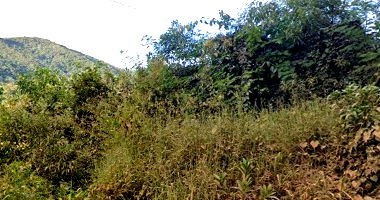 Terreno Amplo em Caldas/MG com 38.450m²